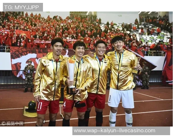 足球排位图解析与各队实力对比分析助你更好理解赛事动态